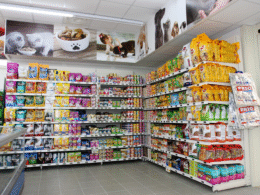 Pet Shop em Campinas - SP